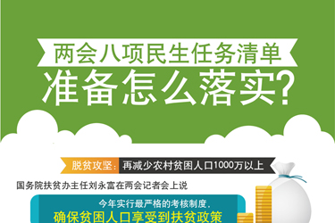 图表：两会八项民生任务清单准备怎么落实？