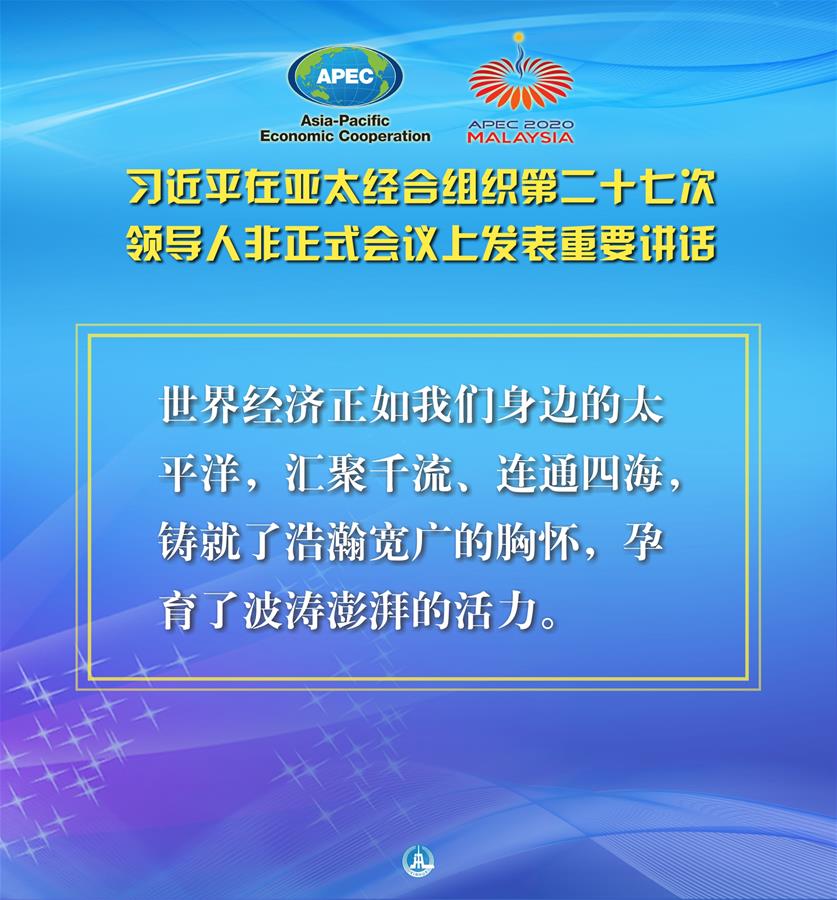 （图表·海报）［外事］习近平出席亚太经合组织第二十七次领导人非正式会议并发表重要讲话（5）