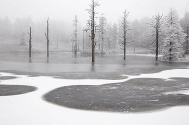 畅游冰雪瓦屋山