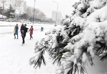 吉林长春：春分时节雪纷纷